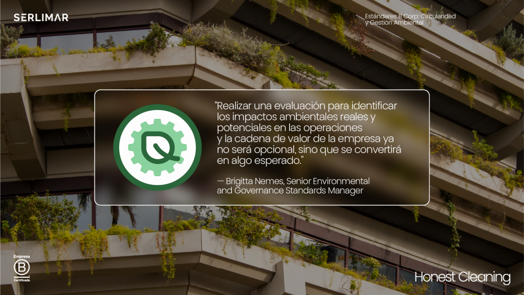 nuevos estandares b lab